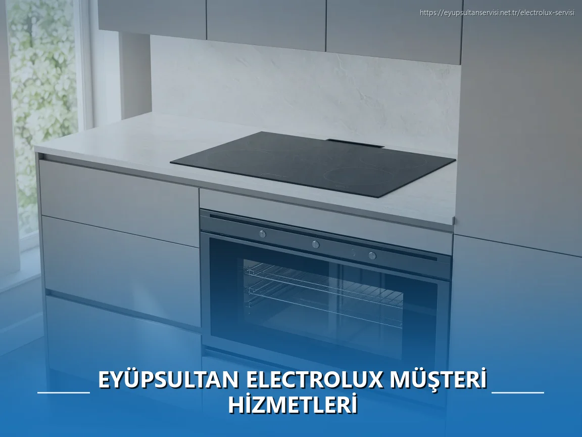 Eyüpsultan Electrolux Müşteri Hizmetleri