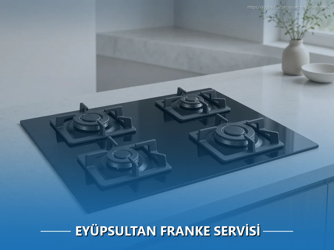 Eyüpsultan Franke Servisi