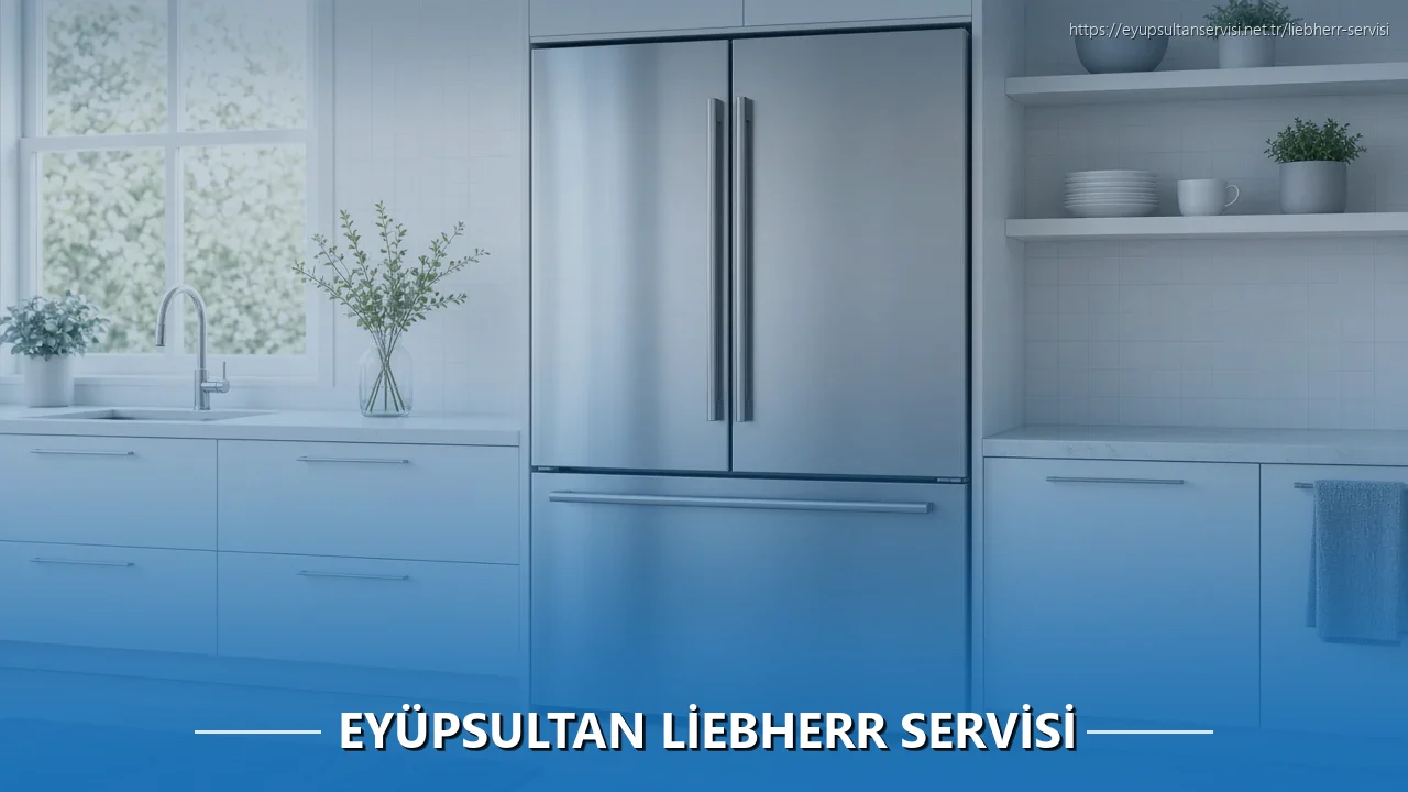 Eyüpsultan Liebherr Servisi