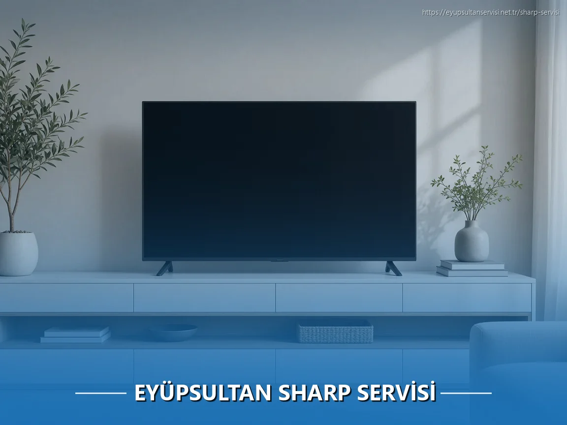 Eyüpsultan Sharp Servisi